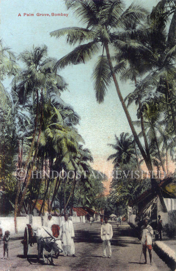 /data/Original Prints/Views of  Old Bombay - Special Series/A Palm Grove Bombay.jpg